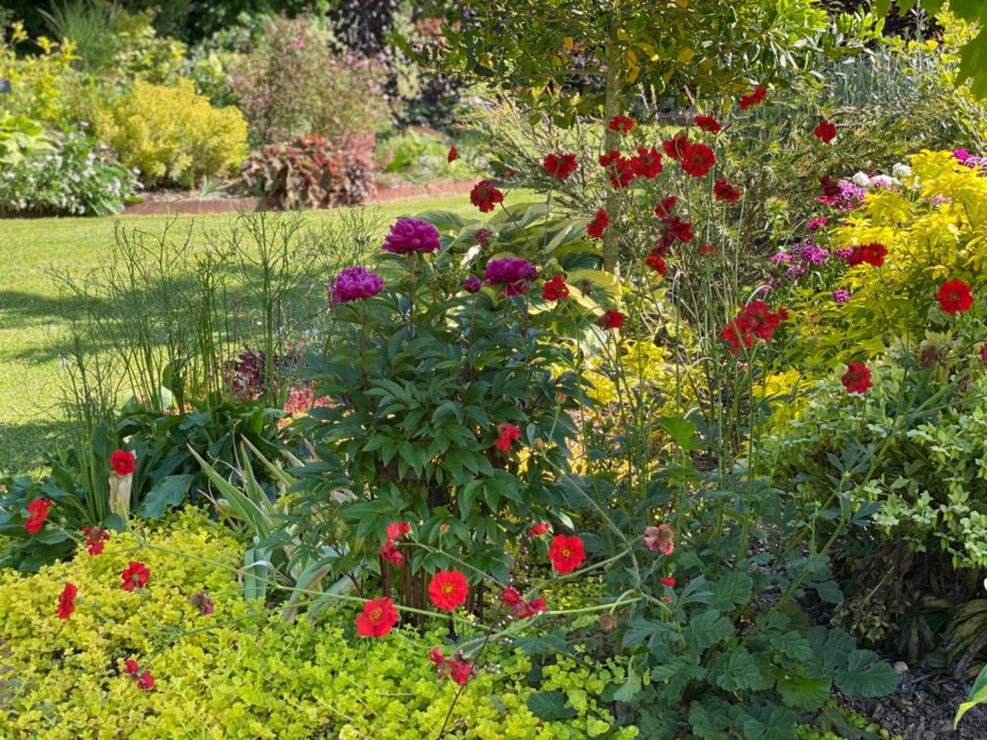 L'Ecole Des Garcons Bed and Breakfast Maigne Exterior foto